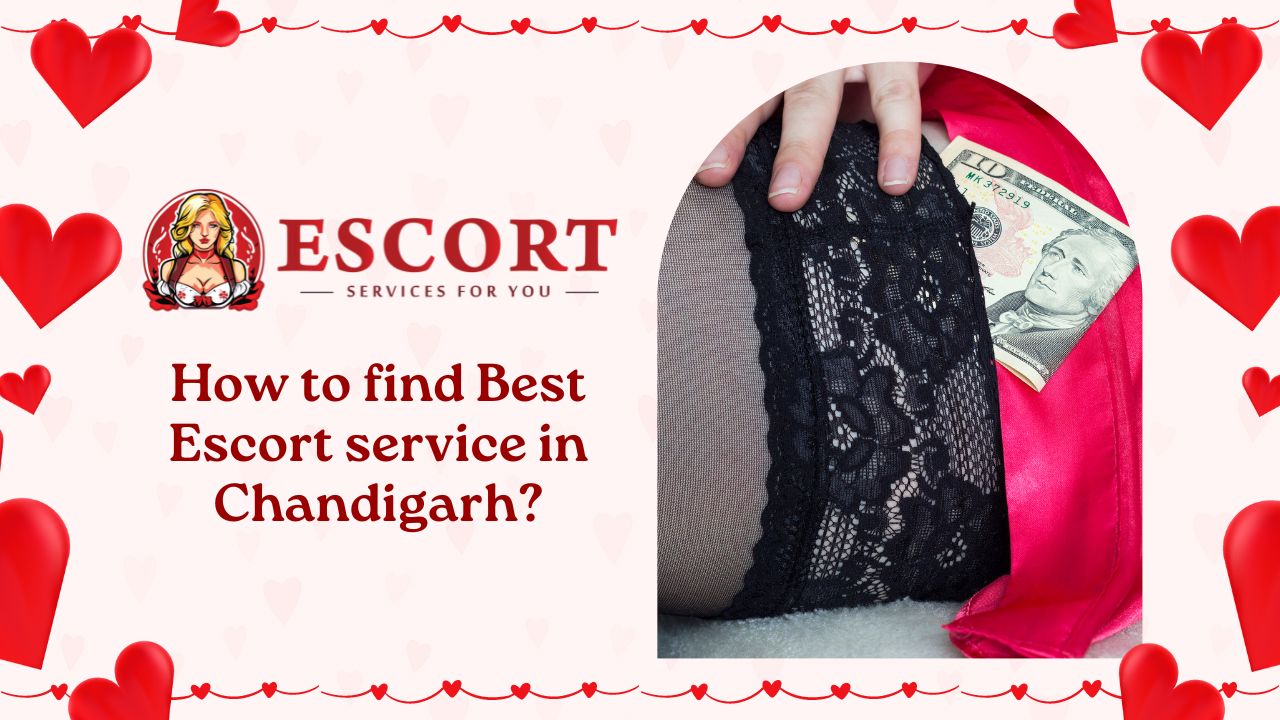 How to find Best Escort service in Chandigarh?