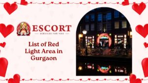 Read more about the article List of Red Light Area in Gurgaon