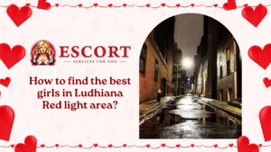 Read more about the article How to find the best girls in Ludhiana Red light area?
