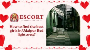 Read more about the article How to find the best girls in Udaipur Red light area?