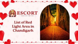 Read more about the article List of Red Light Area in Chandigarh