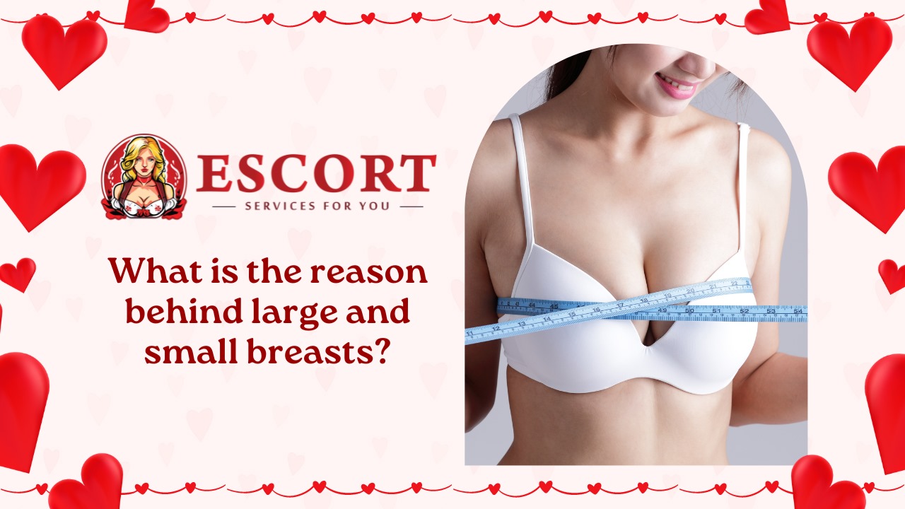 What is the reason behind large and small breasts?