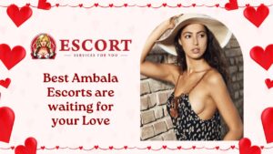 Best Ambala Escorts are waiting for your Love