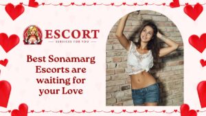 Best Sonamarg Escorts are waiting for your Love