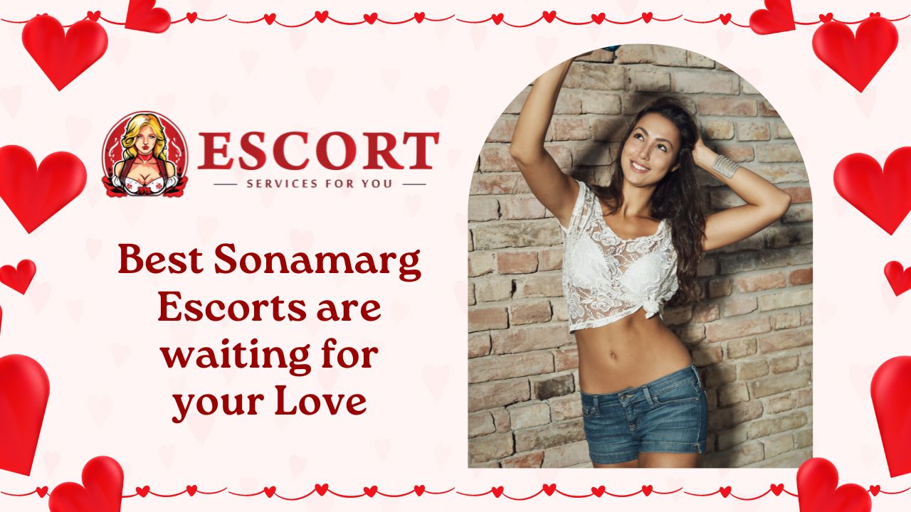 Read more about the article Best Sonamarg Escorts are waiting for your Love