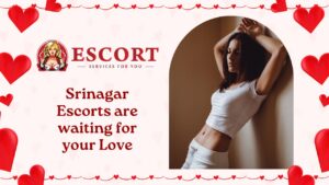 Best Srinagar Escorts are waiting for your Love